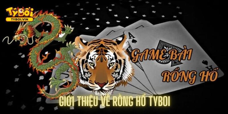 Giới thiệu thông tin cơ bản về trò chơi hấp dẫn Tyboi