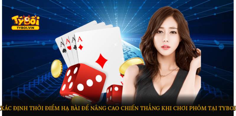 Xác định thời điểm hạ bài để nâng cao chiến thắng khi chơi Phỏm tại Tyboi