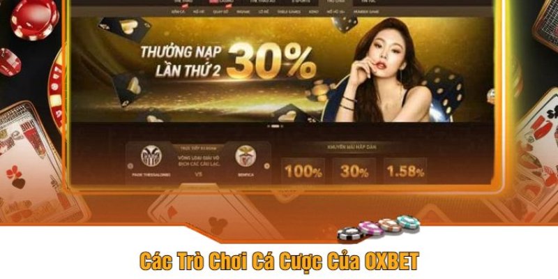 Sản phẩm và dịch vụ nổi bật tại Oxbet phong phú