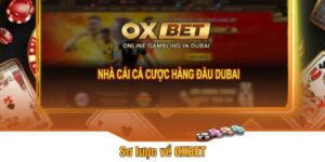 Oxbet - Nhà cái uy tín cá cược đỉnh cao, rút thưởng nhanh