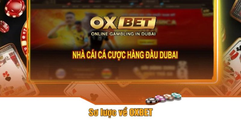 Tổng quan về Oxbet hàng đầu dubai
